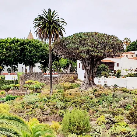 Jema 2 San Marcos By Hrtenerife Net Apartment *